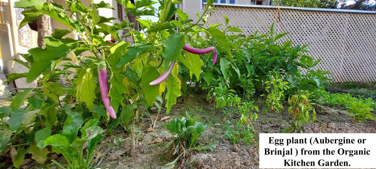 Ikraam Inn Bed & Breakfast Srīnagar Buitenkant foto